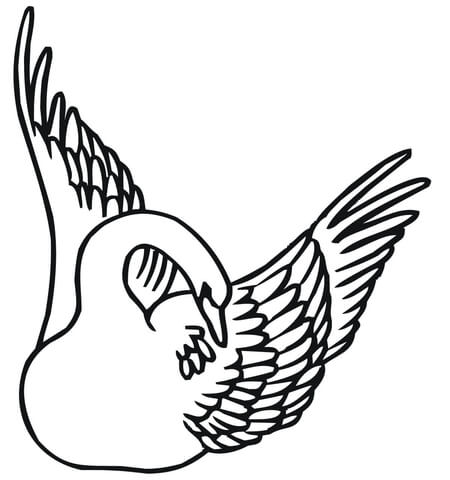 Swan Swimming With Wings Up Coloring Page